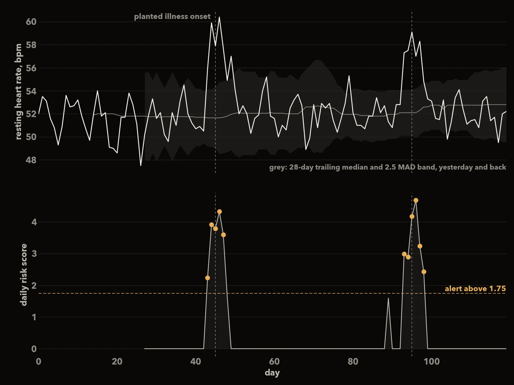 Two dark charts over 120 days. Top: a resting heart rate trace in white around 52 bpm with a grey trailing-median line and a shaded band, rising to 60 bpm at two dashed lines marked planted illness onset near days 45 and 95. Bottom: the daily risk score, flat at zero except two peaks to about 4.5 at the same days, with orange dots on the days above a dashed alert line at 1.75