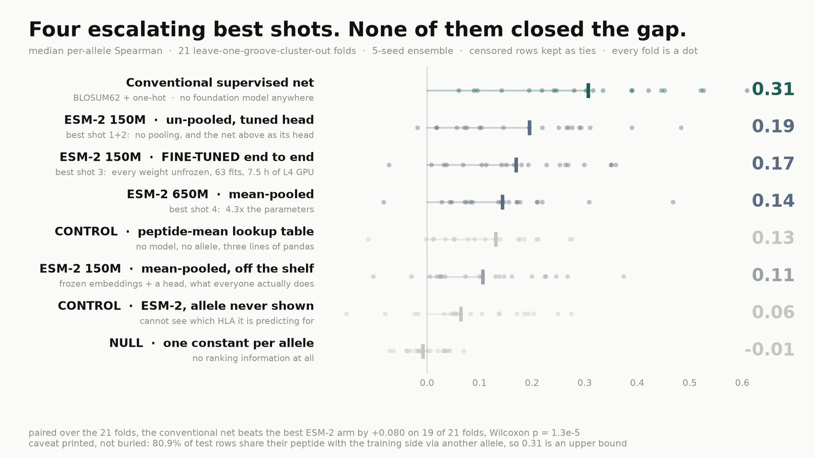 A ladder chart titled Four escalating best shots, none of them closed the gap. Eight rows, one per model, each a horizontal line of 21 dots with a thick median tick. The conventional supervised net sits highest at 0.31, then ESM-2 un-pooled at 0.19, fine-tuned at 0.17, ESM-2 650M at 0.14, a peptide-mean lookup table at 0.13, off-the-shelf ESM-2 at 0.11, an allele-blind control at 0.06 and a null at minus 0.01.